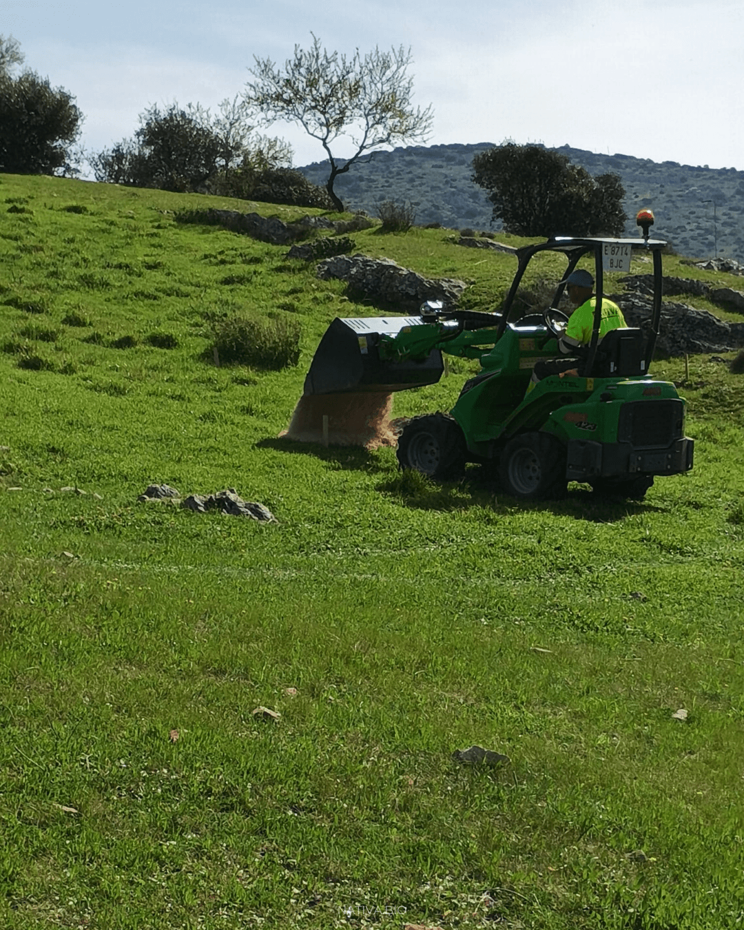 obras forestales